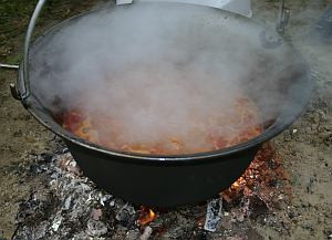 Ungarischer Gulasch